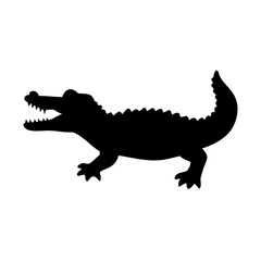 crocodile isolated on white