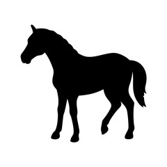 horse silhouette vector