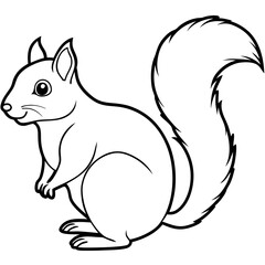 Elegant Squirrel Outline Illustration