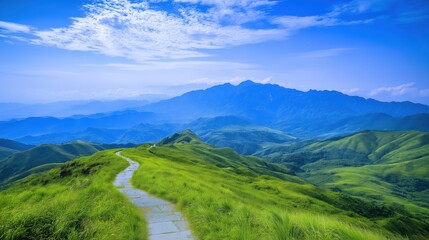 Scenic mountain trail surrounded by vibrant greenery. Ideal for hiking, travel inspiration, and nature blogs.