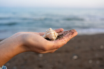 Young woman holding seashell against sea