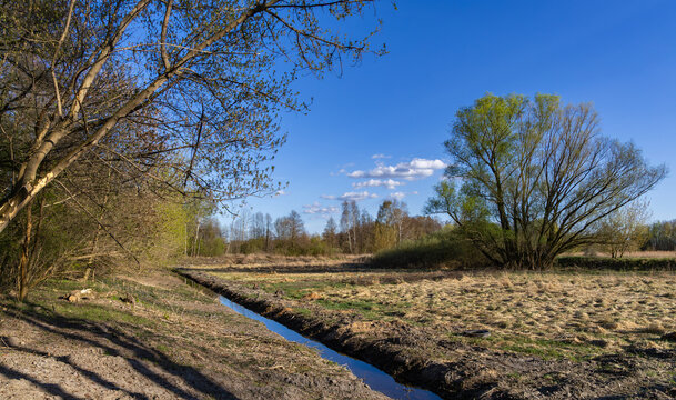 Raszyn Ponds, trees and meadows between the ponds, spring,  Mazovia, Poland