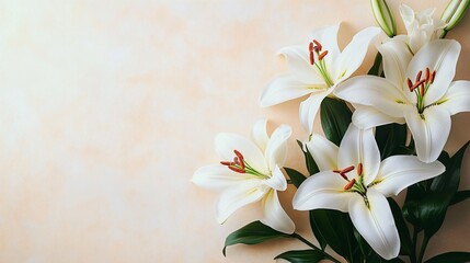 Fototapeta premium Elegant white lilies in a minimalist arrangement, ideal for spring and Easter designs, floral ads, or tranquil home decor.