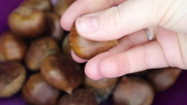 Woman's hand sorting edible chestnuts in a bowl. Close-up of a woman's hand picking through a bowl of edible chestnuts. A cozy and seasonal moment, perfect for autumn or winter food themes.