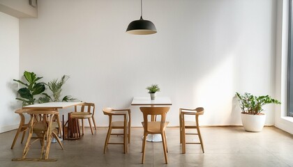 Minimalist Dining Room with Natural Light suitable for food blog