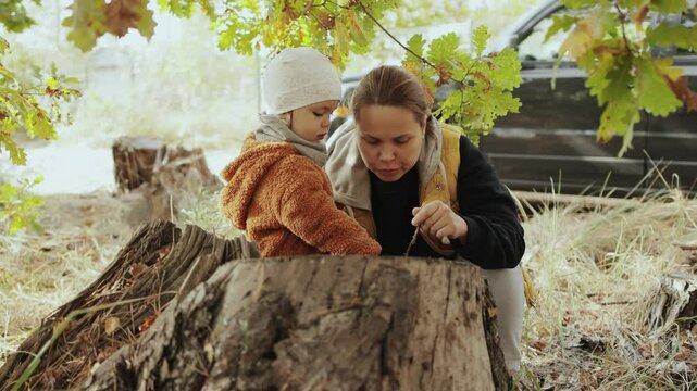 A mother and her child joyfully explore nature together by a tree stump in a peaceful autumn setting. Girl having fun in forest. 