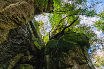 Scenic sight near Viterbo in the Arcionello Valley and Fosso Luparo. Lazio region, Italy.