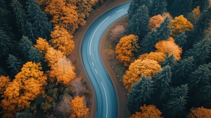 Aerial view of winding road through vibrant autumn forest with colorful foliage, peaceful nature scenery, and scenic travel inspiration in fall season. top view