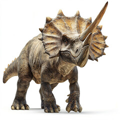 Fototapeta premium Triceratops dinosaur on white background, showcasing its horns and frill