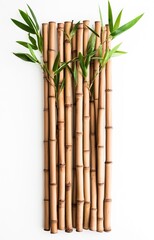 Fototapeta premium Bamboo texture. isolated background 