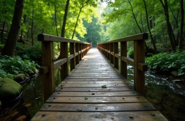 Obraz premium Serene wooden footbridge over stream in tranquil forest setting