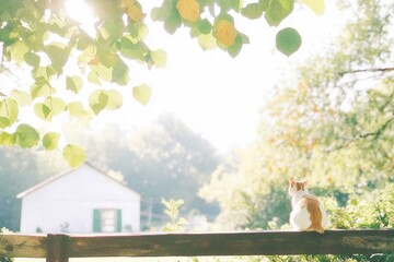 Sunlit cat relaxing on fence in bright countryside garden scene