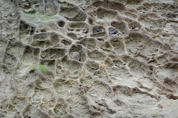 Beautiful pattern of seabed during low tide.