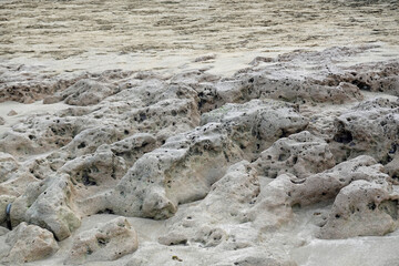 Interesting sea floor during a low tide.