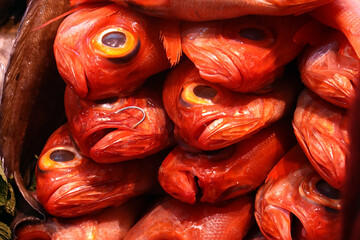 Golden eye snappers (Kinmedai) at the fish market.