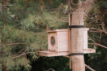 Bird feeder on a tree