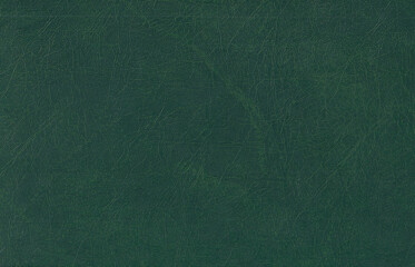 Green leather texture. Skin pattern background