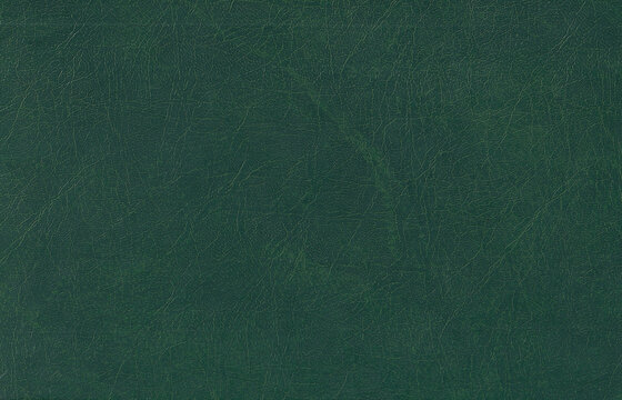 Green leather texture. Skin pattern background