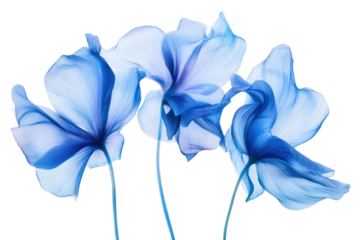 A collection of three surreal, exotic blue flowers captured in incredible macro detail, each with uniquely curved petals and soft, luminous edges.