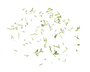 Fresh chopped fennel isolated on white background. Close up