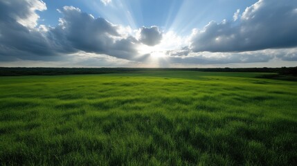 Obraz premium Sunlit green field with clouds