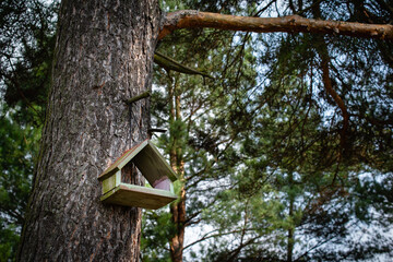 a bird nesting box hanging on a tree