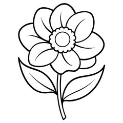Anemone Flower Coloring Book Page Line Art Drawing