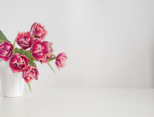 beautiful tulips in vase in white interior