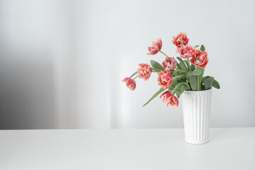 beautiful tulips in vase in white interior