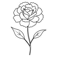 Carnation Flower Coloring Book Page Line Art Drawing