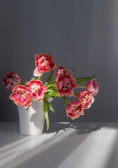 beautiful tulips in vase on gray background