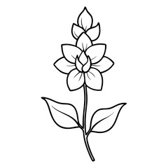 Fototapeta premium Delphinium Flower Coloring Book Page Line Art Drawing