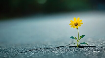 A beautiful flower growing out of a crack in the asphalt, symbolizing hope, resilience, and the power of nature. This image represents the strength to overcome adversity and the potential for new life
