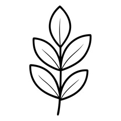Obraz premium Eucalyptus Leaf Icon Outline on White Background