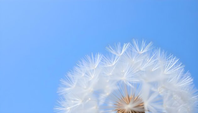 dandelion with a blue sky in the background - Powered by Adobe