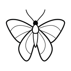 moth line art vector illustration on white background