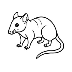 Fototapeta premium shrew line art vector illustration on white background
