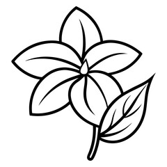 Obraz premium Jasmine Flower Icon Outline on White Background