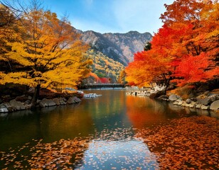 Obraz premium 紅葉 川 自然