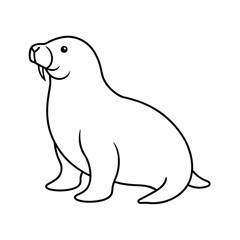 walrus line art vector illustration