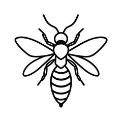wasp line art vector illustration on white background