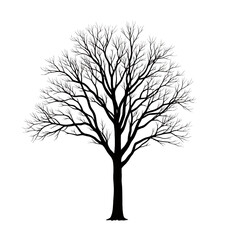 Obraz premium White-Tree-Silhouette-on-Black-Background-Minimalist-Design