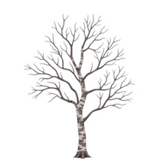 Obraz premium Bare_Tree_Illustration_Winter_Season_Branches