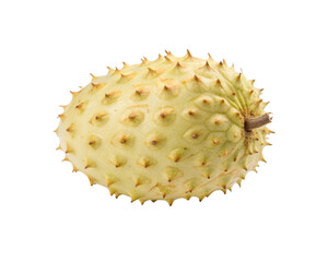 High-Quality Rollinia PNG Cutout for Print Design and Marketing Materials