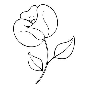 recommend clip art: Sweet Pea Flower Coloring Book Page Line Art Drawing