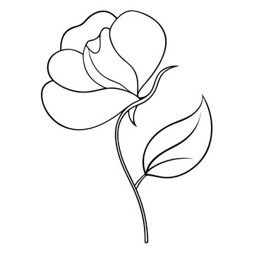 recommend clip art: Sweet Pea Flower Coloring Book Page Line Art Drawing