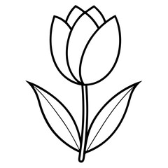 Obraz premium Tulip Flower Coloring Book Page Line Art Drawing