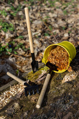 Small garden tools and bucket with sawdust on the ground.