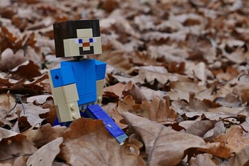 Fototapeta premium LEGO Minecraft figure of smiling Steve in blue shirt walking across dense layer of brown fallen leaves, mostly from oak and maple trees. 