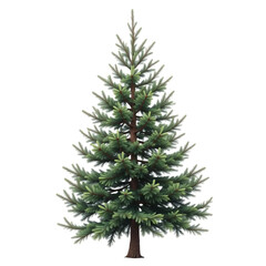 Fototapeta premium Christmas_Tree_Pine_Tree_Holiday_Season_Evergreen